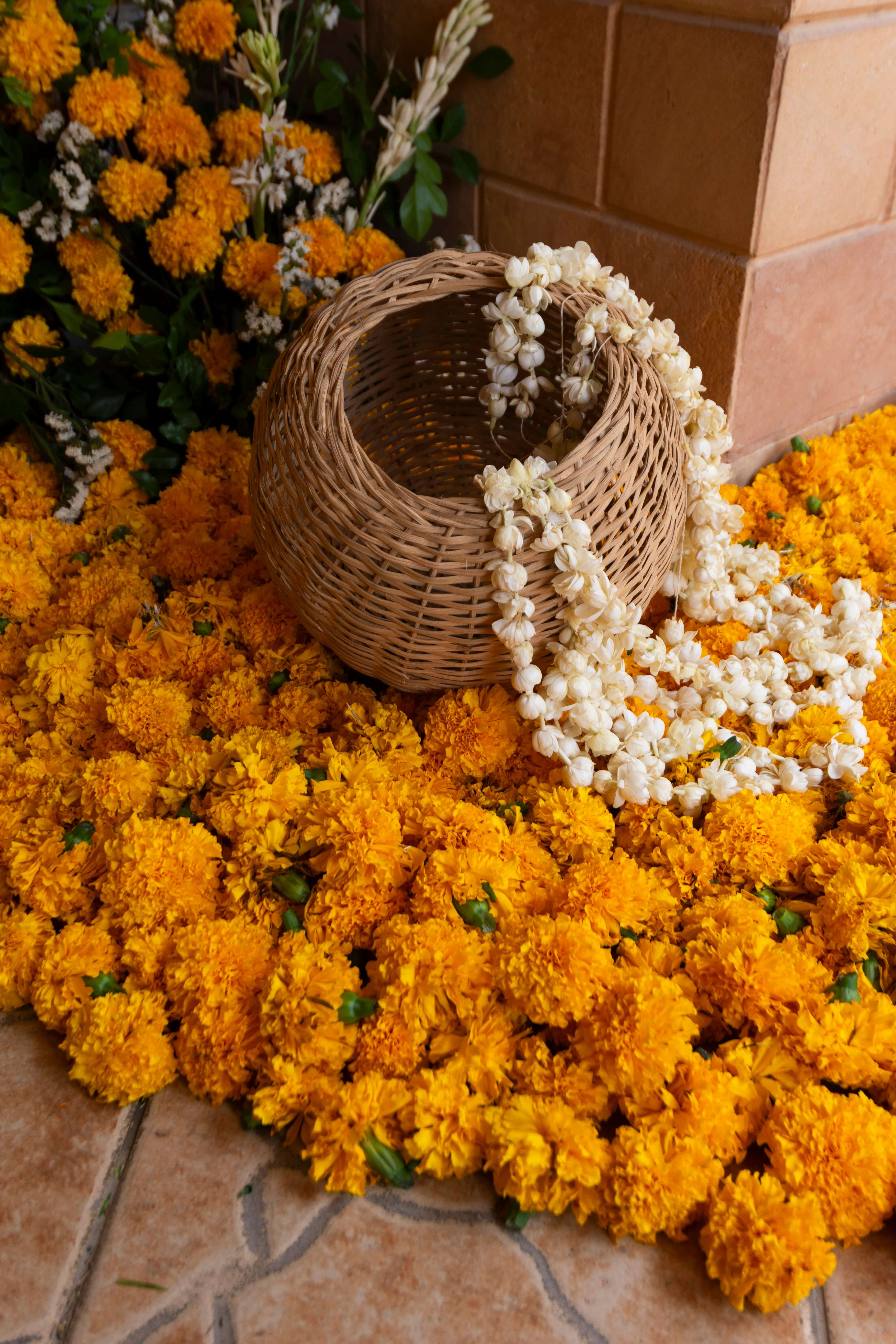 Haldi